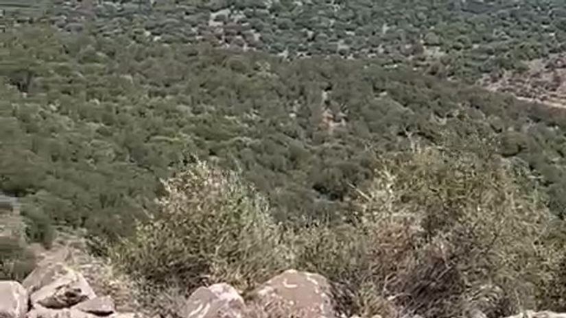 Video 2023-10-03 at 14.23.43